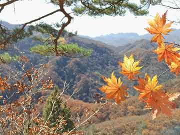 国米遭扳平！卡巴塞勒头球后蹭破门